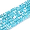 Natural Trochid Shell/Trochus Shell Beads Strands SSHEL-N040-21B-1