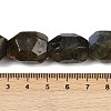 Natural Labradorite Beads Strands G-F796-C10-01-5
