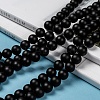 Natural Black Agate Beads Strands X-G-D543-10mm-5