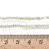 Electroplate Transparent Glass Beads Strands EGLA-P061-04C-AB17-3
