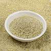 MIYUKI Round Rocailles Beads X-SEED-G009-RR0577-2