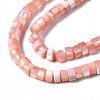 Natural Trochus Shell Beads Strands SHEL-S278-027H-3