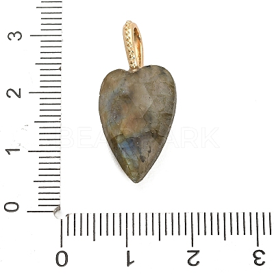 Natural Labradorite Pendants LS-G-C290-01D-1