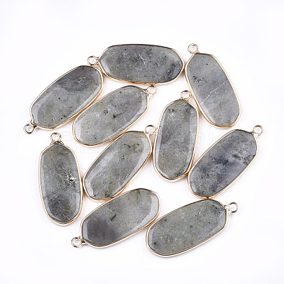 Natural Labradorite Pendants G-T112-23A-1