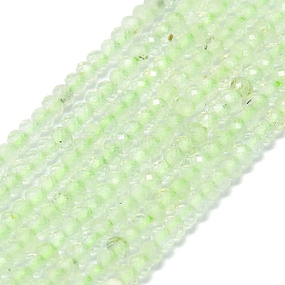Natural Prehnite Beads Strands G-G106-A26-01-1