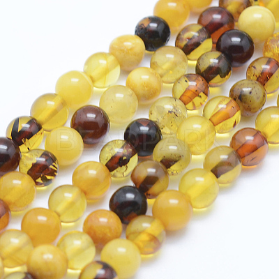 Natural Amber Beads Strands G-P336-16-6mm-1