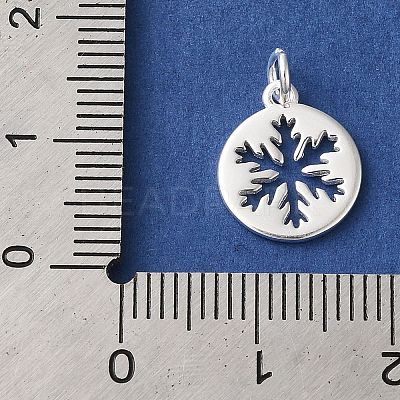 925 Sterling Silver Charms LS-STER-M120-01E-S-1