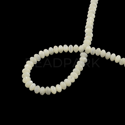 Rondelle Natural Trochid Shell/Trochus Shell Beads Strands SSHEL-F290-29-1
