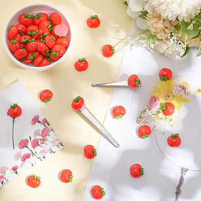 60Pcs Resin Decoden Cabochons CRES-SP0001-24-1