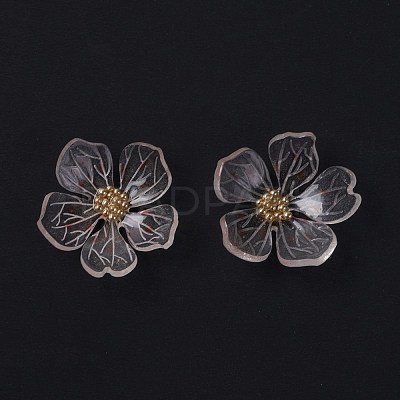 Transparent Resin Cabochons X-RESI-L035-19-1