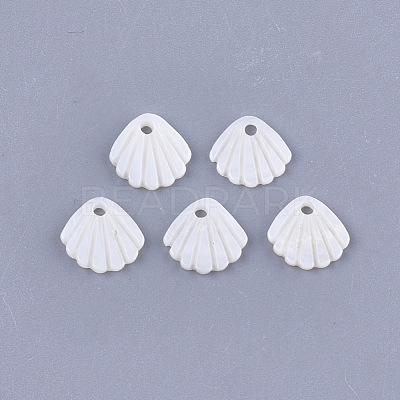 Freshwater Shell Charms SHEL-T012-62-1