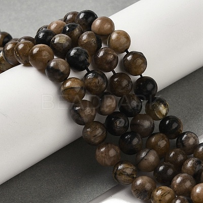 Natural Chiastolite Beads Strands G-Q161-A03-03-1