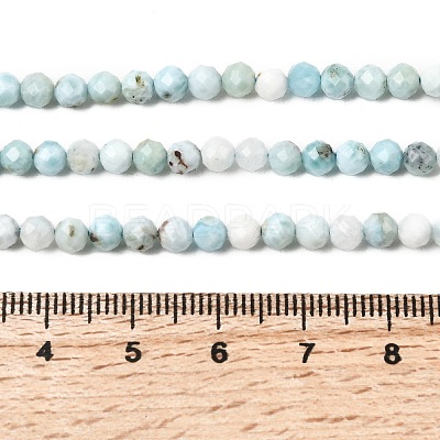 Natural Larimar Beads Strands G-F785-B01-02-1