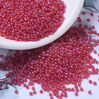 MIYUKI Round Rocailles Beads X-SEED-G007-RR0141FR-1