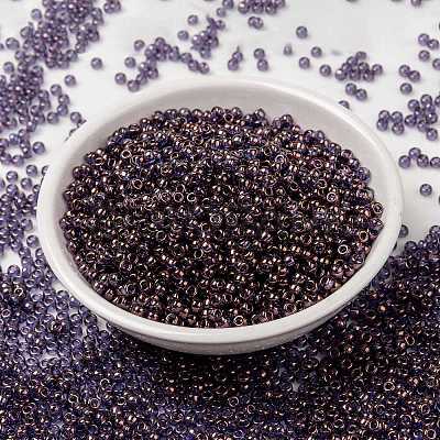 MIYUKI Round Rocailles Beads X-SEED-G008-RR1884-1