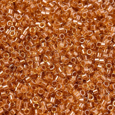 MIYUKI Delica Beads X-SEED-J020-DB1702-1