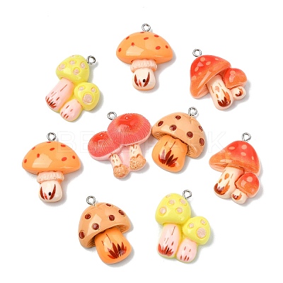 30Pcs 5 Styles Resin Pendants RESI-CJ0005-20-1