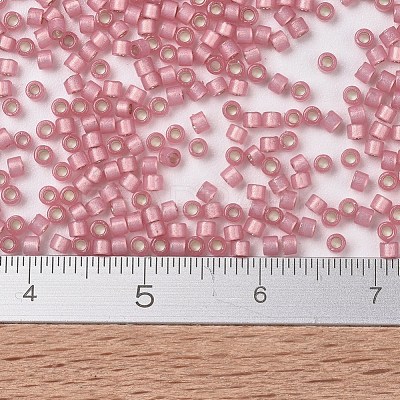 MIYUKI Delica Beads SEED-JP0008-DB2189-1