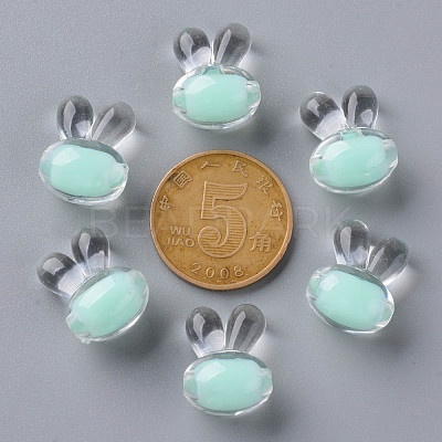 Transparent Acrylic Beads TACR-S152-05A-SS2111-1