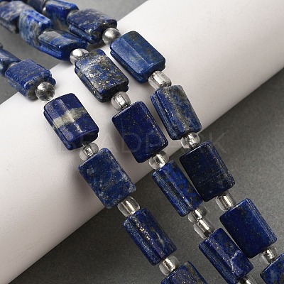 Natural Lapis Lazuli Beads Strands G-Z087-C01-1