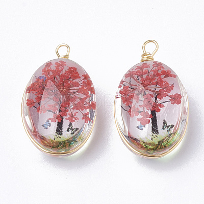 Glass Pendants X-GLAA-Q070-004-1