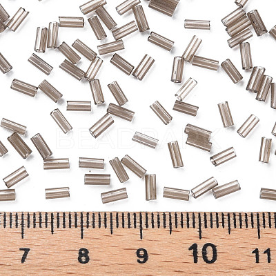 Transparent Glass Bugle Beads SEED-N005-001-C04-1