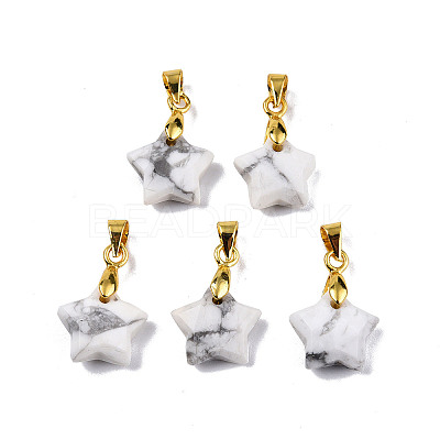 Natural Howlite Charms X-G-N326-142-10-1