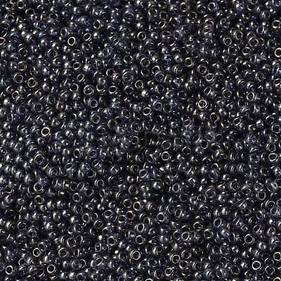 MIYUKI Round Rocailles Beads X-SEED-G007-RR2447-1
