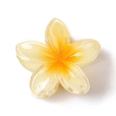 Plastic Claw Hair Clips OHAR-P020-08C-1