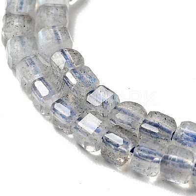 Natural Labradorite Beads Strands X-G-D470-07-1