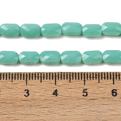 Opaque Glass Beads Strands GLAA-Z018-D21-1