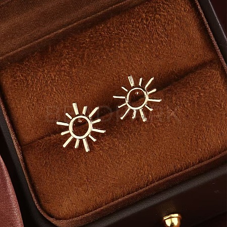 304 Stainless Steel Stud Earrings FS-WG82045-22-1
