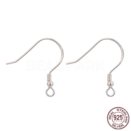 925 Sterling Silver Earring Hooks STER-K167-053A-S-1