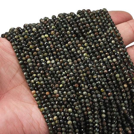 Natural Seraphinite Beads Strands G-RM2025-A42-3mm-1