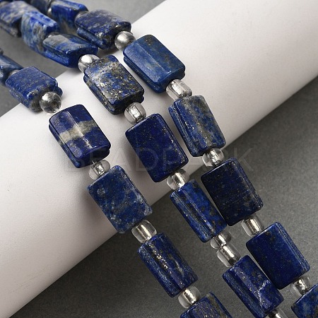 Natural Lapis Lazuli Beads Strands G-Z087-C01-1