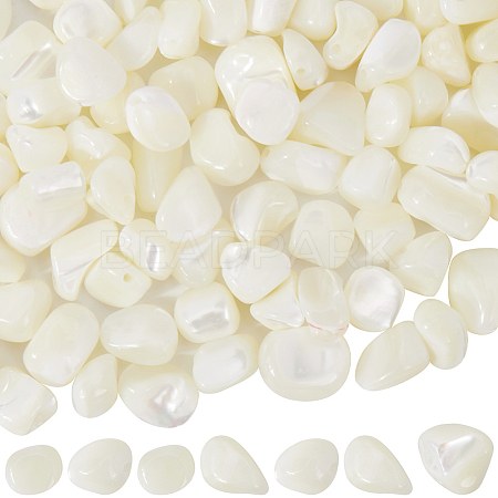 100Pcs Natural Trochid Shell/Trochus Shell Beads BSHE-SC0001-16C-1