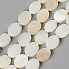 Natural Freshwater Shell Beads Strands SHEL-N026-73-1