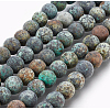 Natural African Turquoise(Jasper) Bead Strands X-G-G957-25-8mm-3