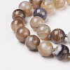 Natural Dyed Agate Beads Necklaces NJEW-F139-6mm-15-2