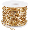 1 Roll PVD Vacuum Plating 304 Stainless Steel Paperclip Chains CHS-BBC0001-08-1