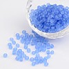 6/0 Frosted Round Glass Seed Beads X-SEED-A008-4mm-M6-1