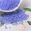MIYUKI Delica Beads SEED-JP0008-DB0240-1