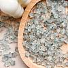 30Pcs Frosted Glass Beads PW-WGAB1F9-04-1