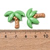 Opaque Resin Cabochons RE-CBAA327-01-2