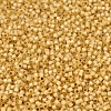 MIYUKI Delica Beads X-SEED-J020-DB2186-3