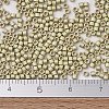 MIYUKI Delica Beads SEED-JP0008-DB1831F-4