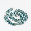Electroplate Glass Beads Strands EGLA-J068-AB03-2