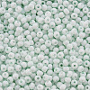 8/0 Opaque Glass Seed Beads SEED-S048-N-007-3