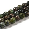Natural Chrysoprase Beads Strands G-H298-A09-03-1