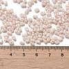 Glass Seed Beads SEED-K009-02A-01-4